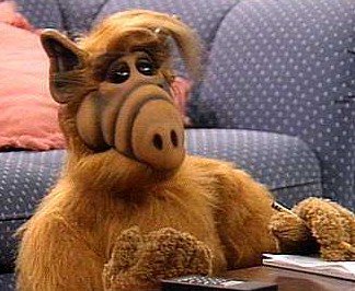 Alf pravi "Nul Problemo!" Foto Wiki

