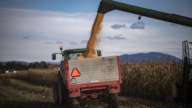 Fotografija: V Gibanju Svoboda so prednostne naloge za kmetijstvo določili zelo ohlapno. FOTO: Voranc Vogel/Delo
