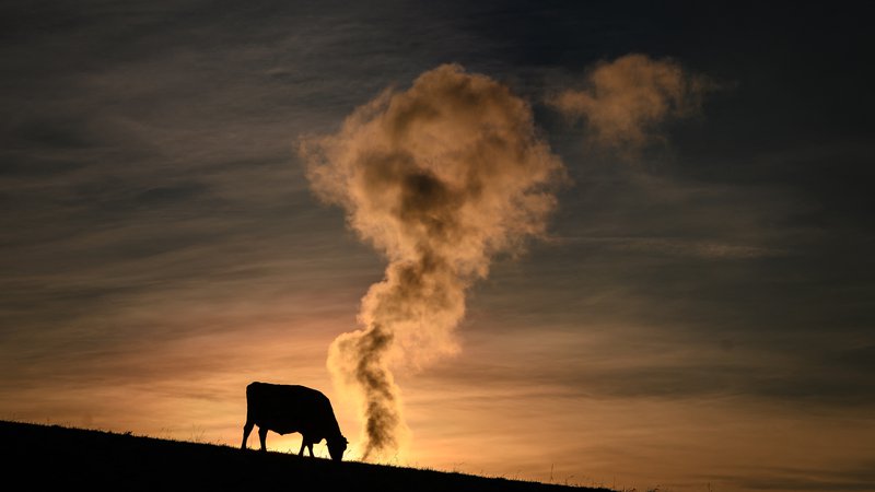 Fotografija: Emisije so se od leta 1990 do 2018 povečale za 65 odstotkov, lani pa smo imeli drugo najvišjo letno rast, je povedal dr. Eric Swyngedouw. FOTO: Fabrice Coffrini/AFP
