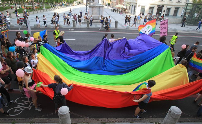 Ustavno sodišče istospolnim partnerjem omogočilo sklenitev zakonske zveze in posvojitev otrok. FOTO: Blaž Samec/Delo
