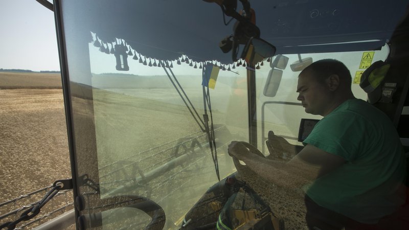 Fotografija: Žetev pšenice v regiji Ternopil. Foto: Jure Eržen/Delo
