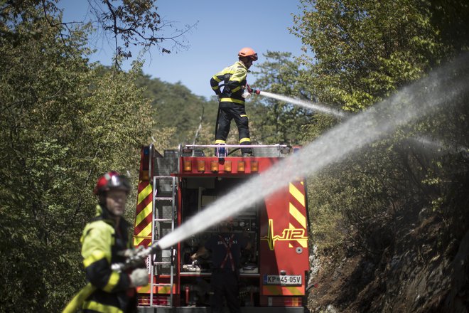Umirjanje požarov na Krasu. FOTO: Jure Eržen/Delo
