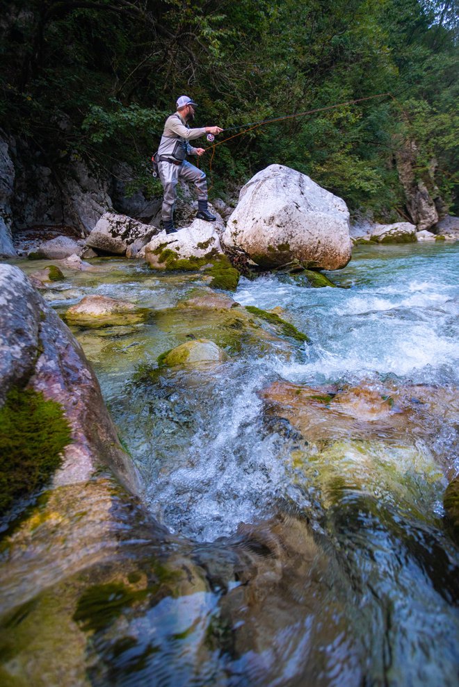 Ribiška zveza Slovenije je o težavah zaradi nizkih vodostajev obvestila vlado, ministrstvo za kmetijstvo ter ministrstvo za okolje in prostor. FOTO: Jošt Gantar

