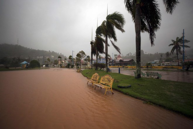 Prizor iz parka Samana v Dominikanski Republiki. FOTO: Erika Santelices/AFP
