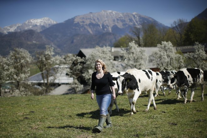 Samooskrba je pri Slovencih po podatkih ministrstva praviloma višja in bolj stabilna pri živinorejski proizvodnji. FOTO: Jure Eržen 
