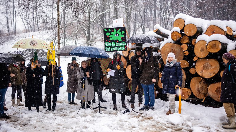 Fotografija: V večerni oddaji na TV Slovenija je bila 16. januarja prikazana sečnja gozda na Šišenskem hribu in še drugje v ljubljanskem krajinskem parku ... in tudi protest ljudi proti tej sečnji. FOTO ČRT PIKSI
