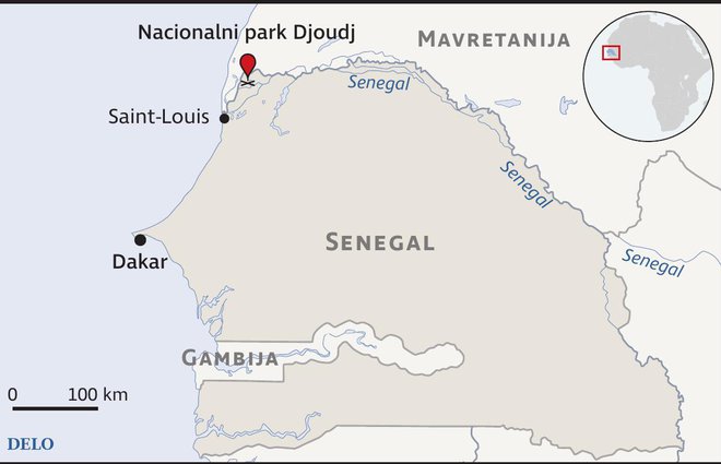 Senegal za Trip