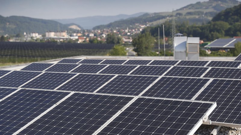 Fotografija: V EU je bilo lani nameščenih za rekordnih 41,4 gigavata sončnih elektrarn, kar je 47 odstotkov več kot leto prej. FOTO: Leon Vidic/Delo
