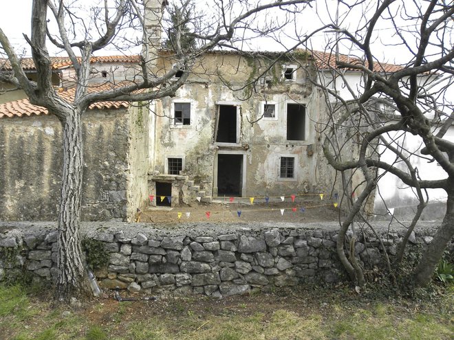 Hiša, ki je bila v lasti prednikov danes znanega vinarja, je bila v zelo slabem stanju in marsikje povsem poraščena z rastlinjem, tudi zid pred njo je razpadal. FOTO: Matej Vozlič
