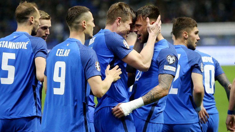 Fotografija: Tri točke so najpomembnejše, vse drugo bodo slovenski nogometaši še izboljšali v nadaljevanju kvalifikacij za evropsko prvenstvo. FOTO: Pavel Mihejev/Reuters
