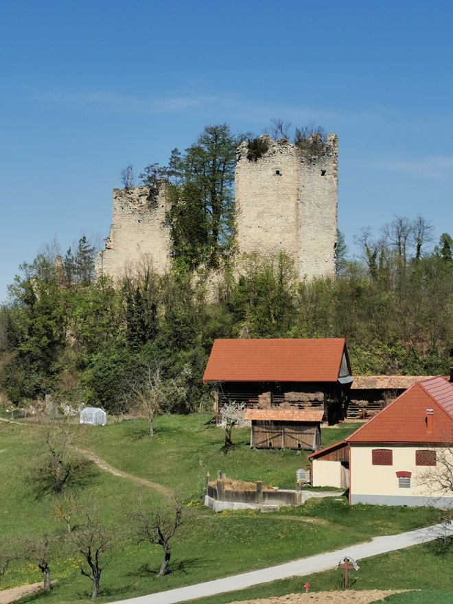 Na severnem pobočju so razvaline gradu iz 14. stoletja, ki je bil nekaj časa v posesti Celjskih grofov. FOTO: Beti Burger