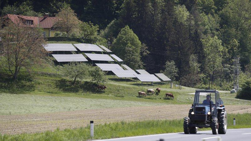 Fotografija: Slovenski zaostanek za evropskim deležem proizvodnje električne energije iz sončnih elektrarn se bo zaradi neustreznosti omrežja še povečal. FOTO: Leon Vidic
