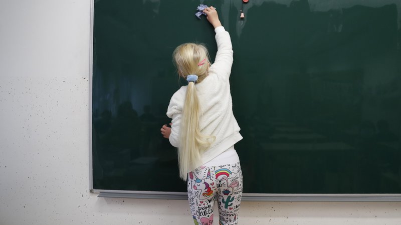 Fotografija: Šolniki vztrajajo, da je kadrovska kriza v vzgoji in izobraževanju vsaj taka kot v zdravstvu. FOTO: Leon Vidic/Delo
