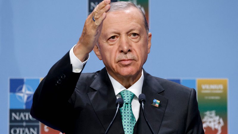 Fotografija: Recep Tayyip Erdoğan. FOTO: Marin Ludovic/AFP