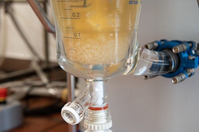 V laboratoriju med drugim preučujejo fermentacijo vodnega kefirja. FOTO: arhiv UM