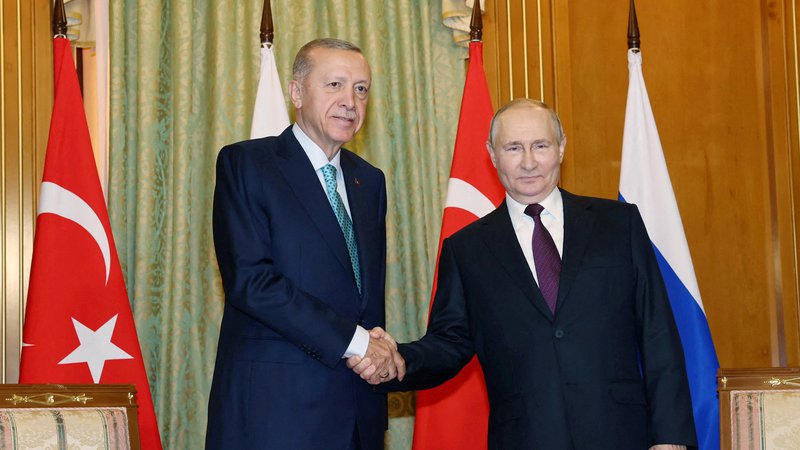 Fotografija: Po napovedih bosta Putin in Erdoğan govorila tudi o dvostranskih in regionalnih vprašanjih. FOTO: Murat Cetinmuhurdar/ppo/Reuters
