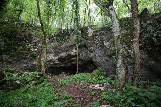 Spodmol, pod katerim se skriva vhod v jamo. FOTO: Leopold Bregar

 