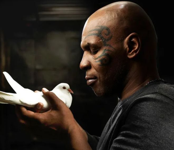 Mike Tyson obožuje golobe. FOTO: Reuters