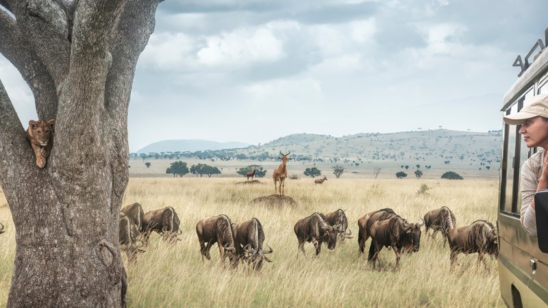 Fotografija: Večina turistov se v ta del sveta odpravi zaradi hribolazništva in safarijev; med njimi sem srečal neproporcionalno veliko Dancev. FOTO: Shutterstock