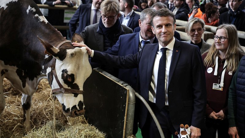 Fotografija: Francoski predsednik Emmanuel Macron se je posvetil kravi Oreillette na 60. mednarodnem kmetijskem sejmu v Parizu. FOTO: Christophe Petit Tesson/Pool via Reuters