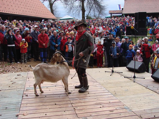 Nekoč je Krjavlja uprizarjal nekdanji ivanški župan Jernej Lampret. Zdaj tega ne počne več, menda mu je poginila koza. FOTO: Bojan Rajšek/Delo