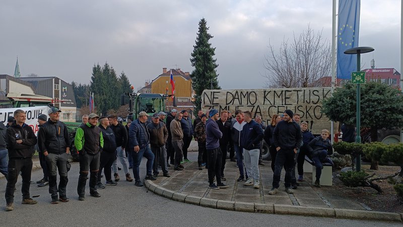 Fotografija: Kmetje so ministra Jožeta Novaka pričakali pred sestankom z župani. FOTO: Špela Kuralt/Delo
