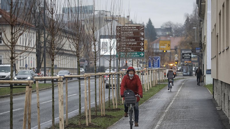 Fotografija: Ljubljana bo na poti do brezogljičnosti med drugim izboljšala infrastrukturo za kolesarje in pešce ter ozelenila mesto. FOTO: Blaž Samec