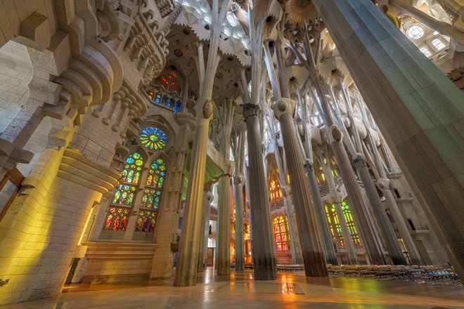 Vse življenje so Gaudíja navdihovale naravne oblike, kot so človeško telo in drevesa. FOTO: Promocijsko gradivo
