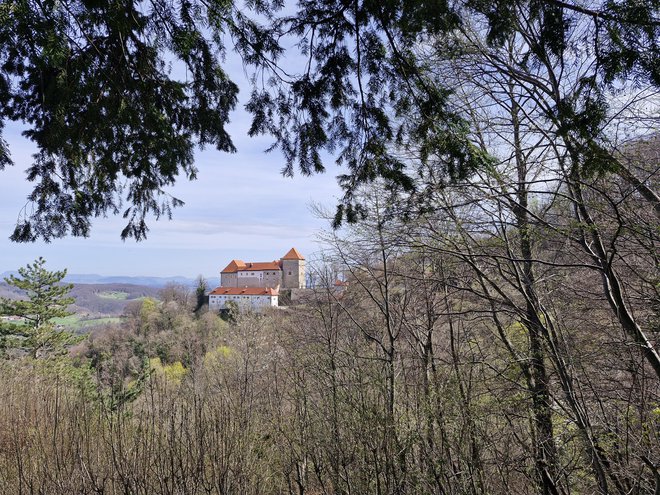 Grad stoji na ozemlju, ki je okrog leta 1000 pripadalo posesti grofov Breže-Selških ter kasneje grofici Emi Krški. FOTO: Beti Burger