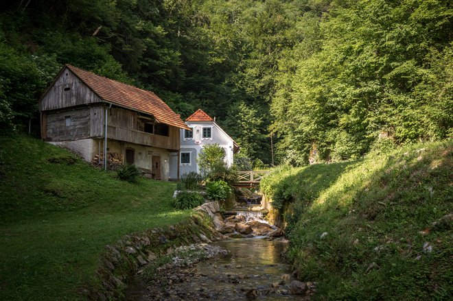 Kroflnov mlin stoji ob potoku Bistri graben in spada med najstarejšo profano dediščino v Kozjem. FOTO: arhiv občine Kozje
