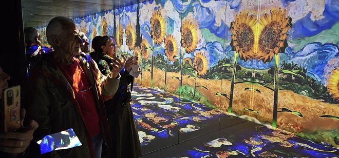 Razstava slik Vincenta van Gogha v tržaškem muzeju Revoltella. FOTO: Boris Šuligoj