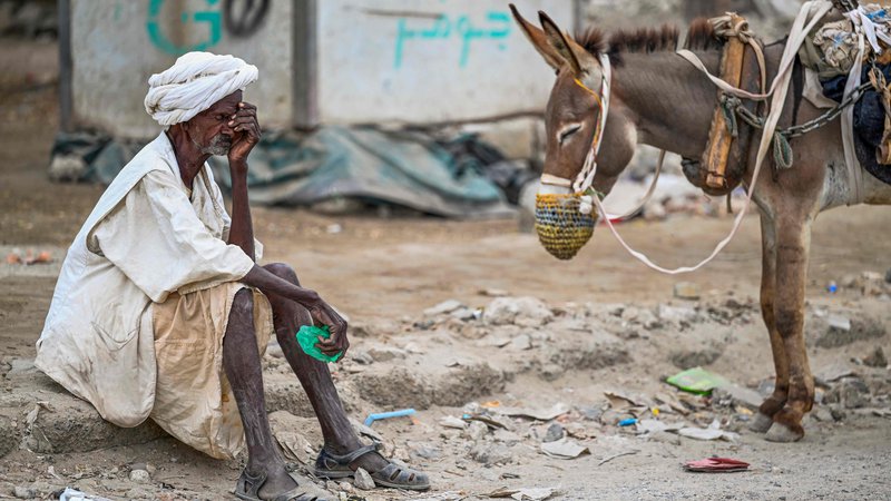 Fotografija: Starejši moški čaka, da bi napolnil rezervoar za vodo, ki ga vleče osel, med vodno krizo v Port Sudanu ob Rdečem morju v od vojne razdejanem Sudanu. V vojni med sudansko vojsko in paravojaškimi silami, ki poteka od aprila lani, je umrlo več deset tisoč ljudi, na milijone pa jih je moralo zapustiti svoje domove, kar je ena najhujših humanitarnih kriz na svetu. Foto: Afp