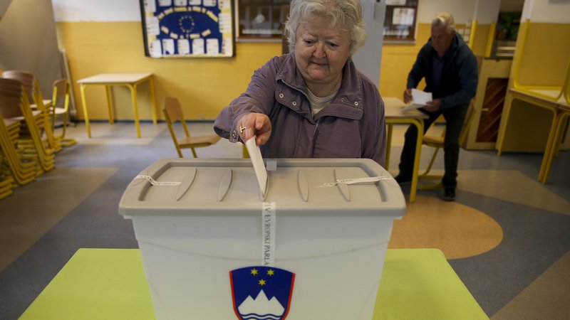 Fotografija: »Skoraj vsi rezultati kažejo na večjo naklonjenost EU med starejšimi in najmlajšimi volivci,« je izpostavil Andraž Zorko iz Valicona. FOTO: Jože Suhadolnik