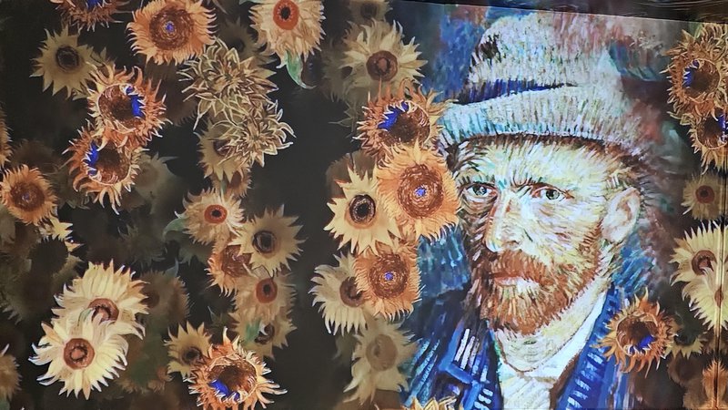 Fotografija: V muzeju Revoltella ocenjujejo, da si bo do konca razstave – predvidoma do 30. junija – van Gogha ogledalo več kot 130.000 obiskovalcev. FOTO: Boris Šuligoj/Delo
