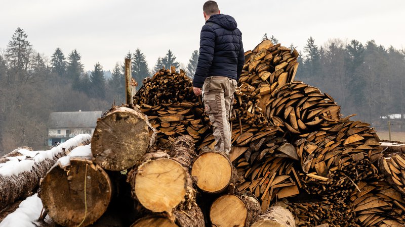Fotografija: Drva ostajajo, tudi v občinah, ki so podprle prvo različico zakona. FOTO: Črt Piksi/Delo