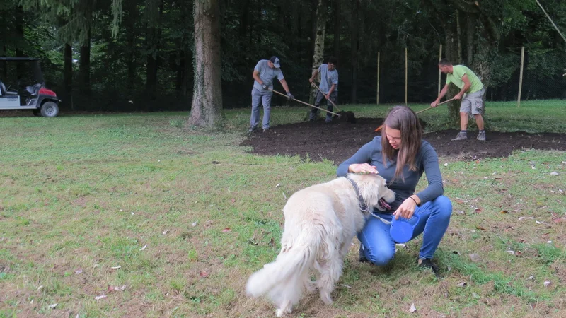 Fotografija: Medtem ko delavci še urejajo park, ga kosmatinci že pridno preizkušajo. FOTO: Bojan Rajšek/Delo