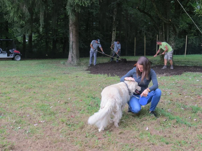 Medtem ko delavci še urejajo park, ga kosmatinci že pridno preizkušajo. FOTO: Bojan Rajšek/Delo