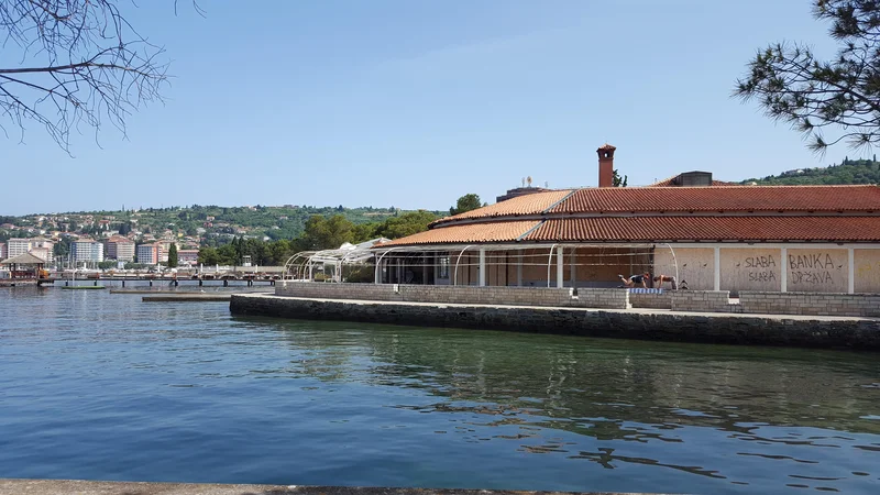 Fotografija: Portoroška Taverna, nekoč priljubljeno zabavišče, je že dolga leta zapuščena. Lani jo je kupil ruski miljonar.