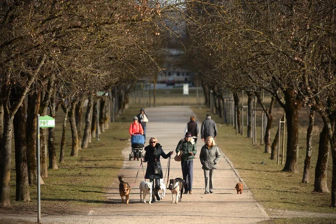 Največ vsakdanjih poti opravijo peš prebivalci, stari od 71 do 84 let in od 56 do 70 let. Foto Jure Eržen