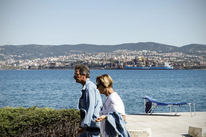 Bo škedenjska železarna zares zaprla svoja vrata? Ljudje, ki živijo v okolici, to kar težko verjamejo. FOTO: Uroš Hočevar