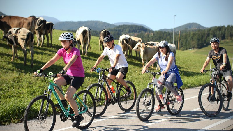 Fotografija: Dokaz, da so se kitajski sodelavci lepo navzeli slovenskih navad. Ne le kolesarjenja, ampak predvsem aktivnega preživljanja prostega časa. FOTO: Jure Eržen/Delo