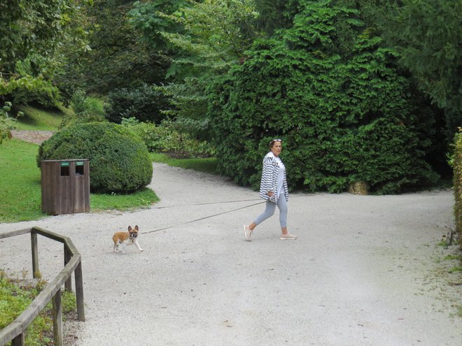 V Arboretumu se dobro počutijo tudi hišni ljubljenčki. FOTO: Bojan Rajšek/Delo