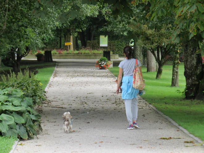 FOTO: Bojan Rajšek/Delo