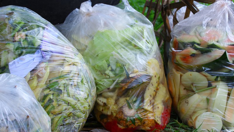 Fotografija: Lani je Komunala Idrija v Cerknem zbrala 71.449 kilogramov bioloških odpadkov. FOTO:: Shutterstock 