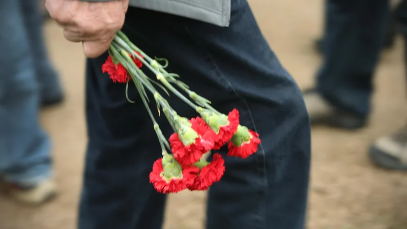 Fotografija: Poleg krizantem na grobove najraje nosimo nageljne. Foto Jure Eržen/delo