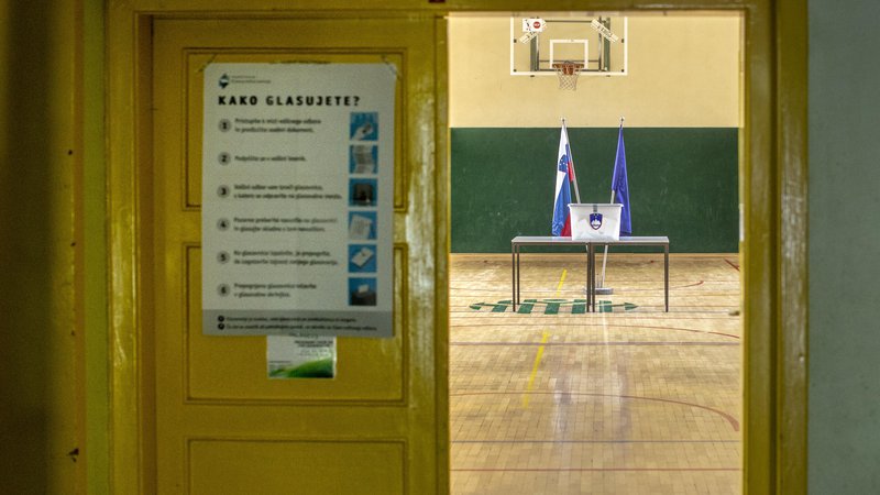 Fotografija: »Določitev volilnega sistema je ena najpomembnejših sestavin politike.« Foto Voranc Vogel
