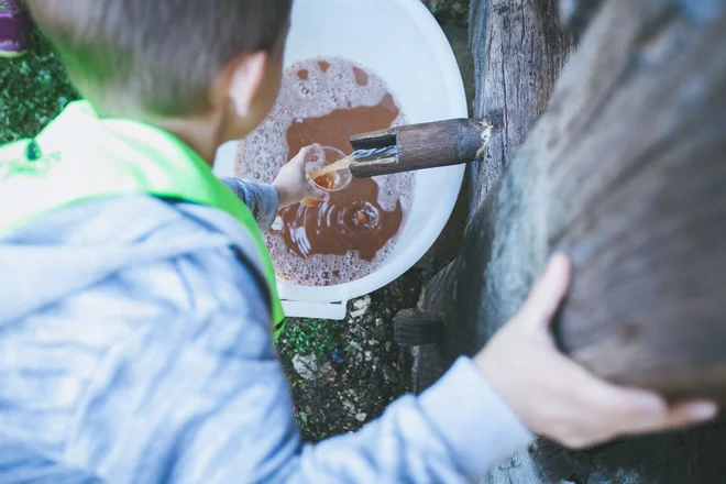 Sadjarsko društvo Mežiške doline in Koroški pokrajinski muzej vzorno skrbita za sadna drevesa v sadovnjaku ob Prežihovini. Pridelek stisnejo v mošt, tradicionalno koroško pijačo iz jabolk. FOTO: Nika Hölcl Praper