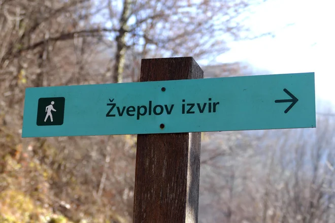 »Težko je presoditi v tem primeru, koliko žvepla je bilo dodanega in v kakšni obliki, vendar govoriti, da je to nujno škodljivo, je preuranjeno, ker ne gre za izrazito strupeno snov.« Foto Primož Hieng