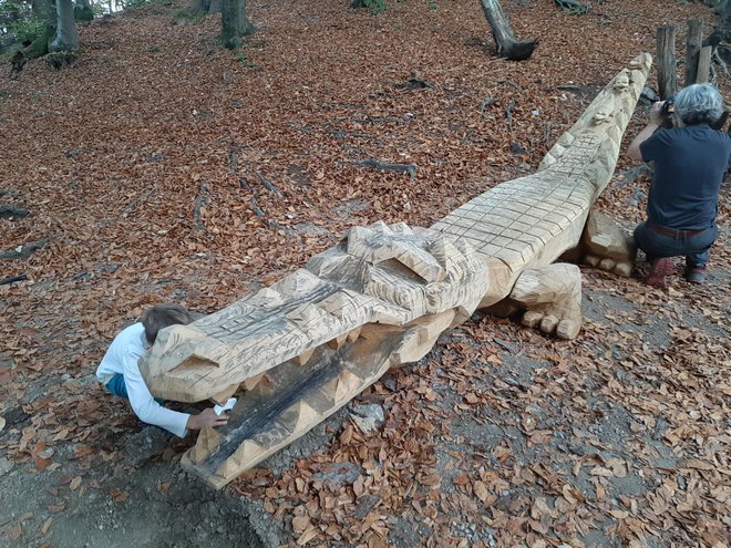 Za odličen izgled novega krokodila je poskrbel tabornik in kipar Miha Knific. FOTO: Janez Porenta/Delo