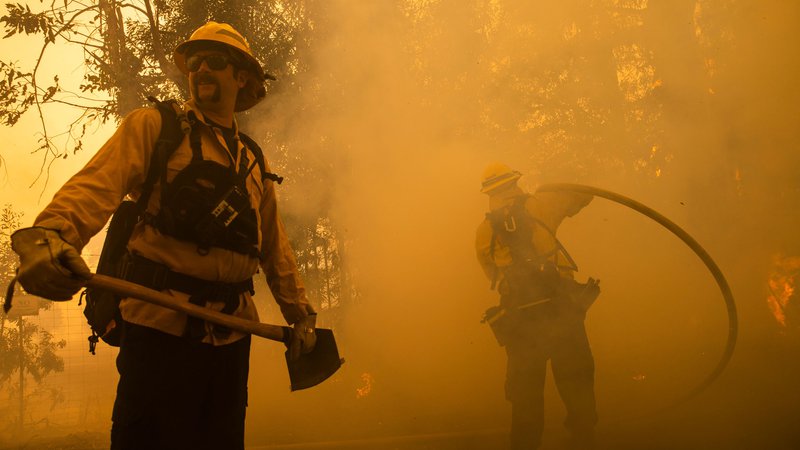 Fotografija: Največji požar divja na severu Kalifornije v bližini kraja Geyserville. FOTO: Philip Pacheco/Afp
